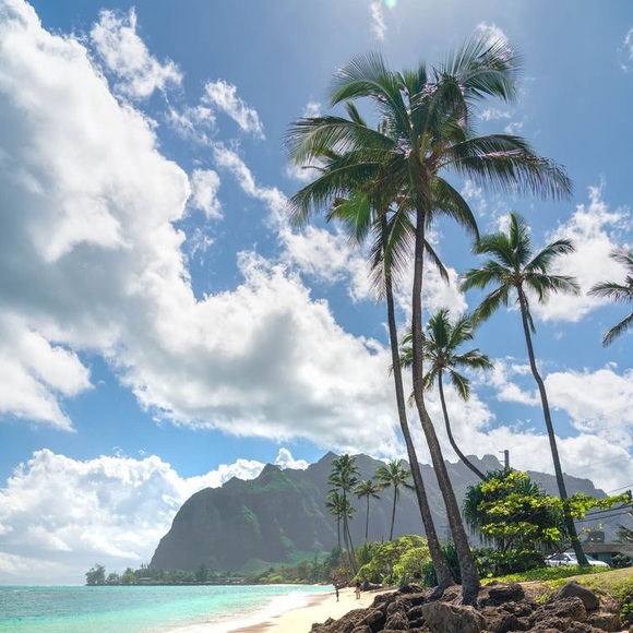 Meet your Posher, Juli - Picture 2 of 2